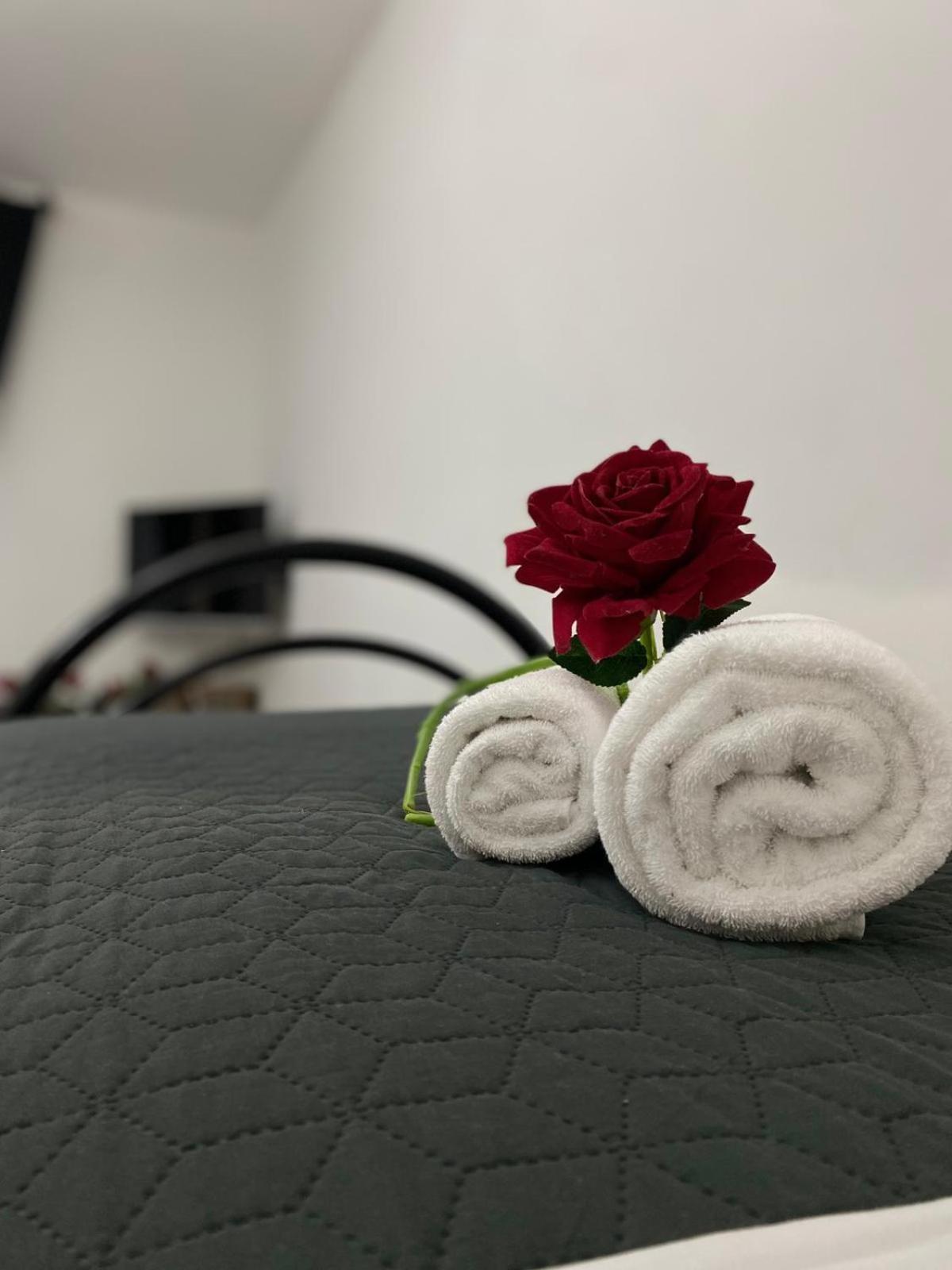 Red Roses Domus Rome Apartment Exterior photo